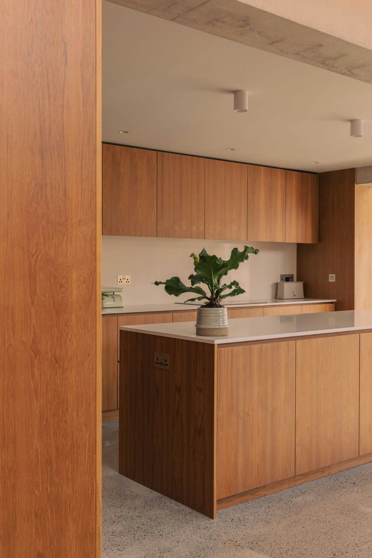 Golden Oak Kitchen